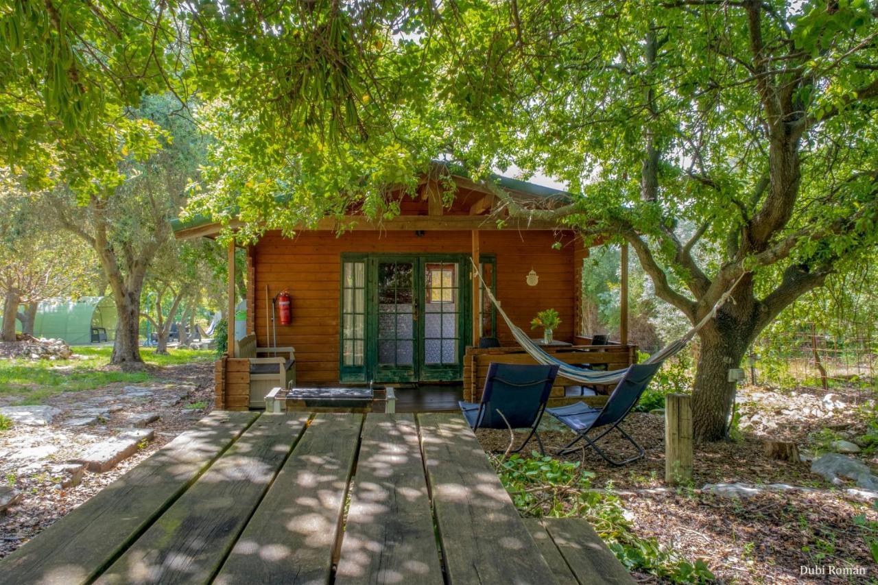 Amikam Meshek 81 משק 81 עמיקם Villa Luaran gambar