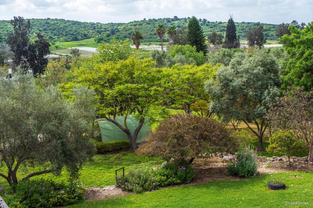 Amikam Meshek 81 משק 81 עמיקם Villa Luaran gambar