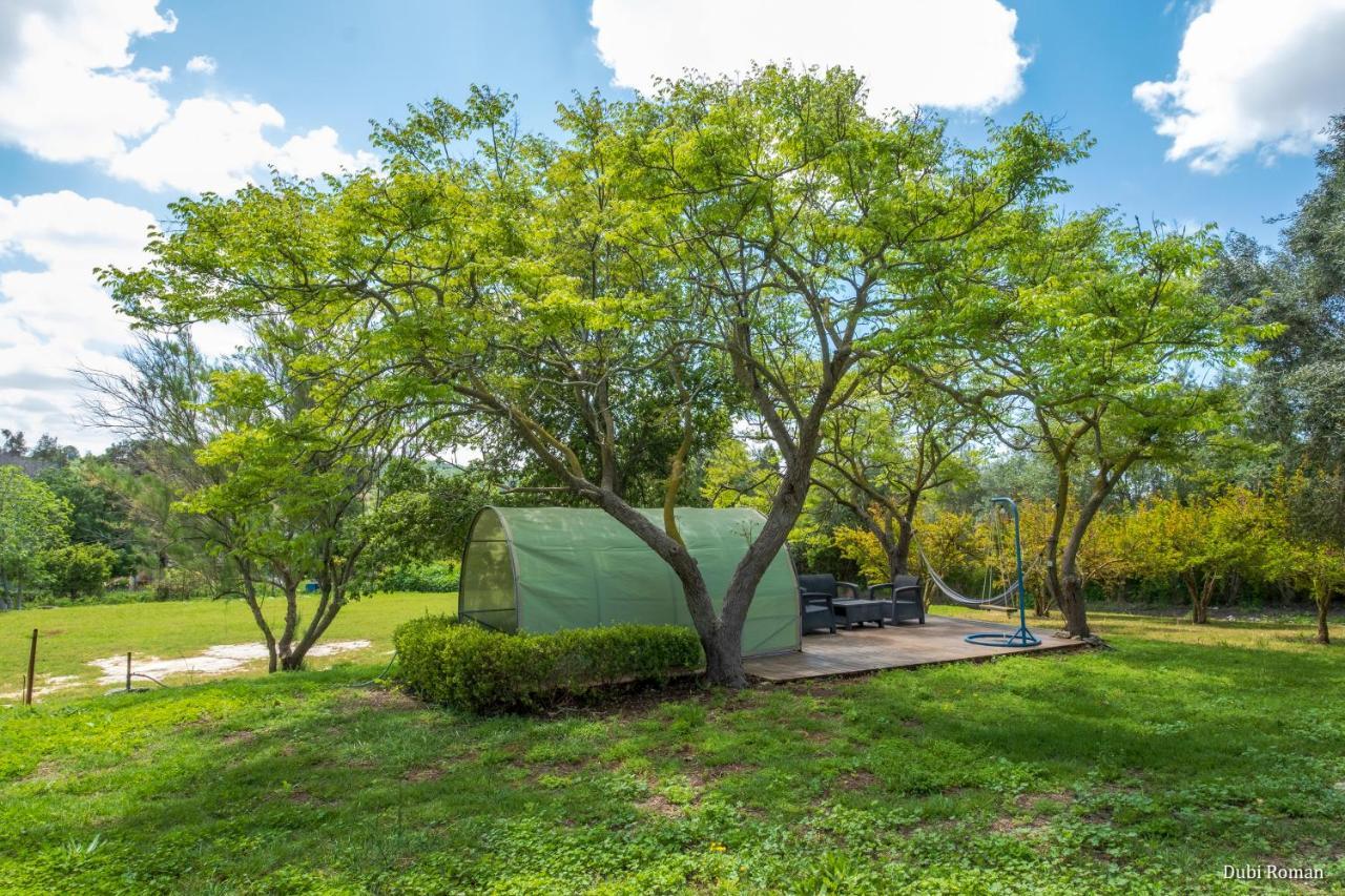 Amikam Meshek 81 משק 81 עמיקם Villa Luaran gambar
