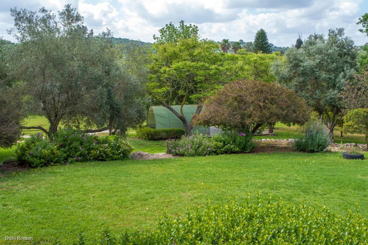 Amikam Meshek 81 משק 81 עמיקם Villa Luaran gambar