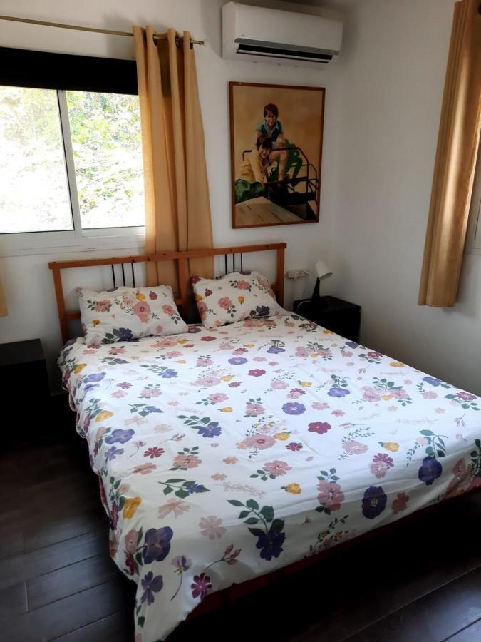 Amikam Meshek 81 משק 81 עמיקם Villa Luaran gambar