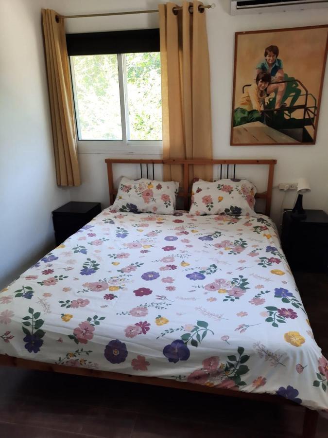 Amikam Meshek 81 משק 81 עמיקם Villa Luaran gambar