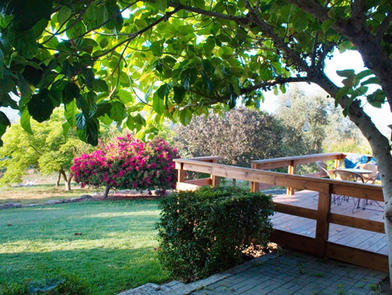 Amikam Meshek 81 משק 81 עמיקם Villa Luaran gambar