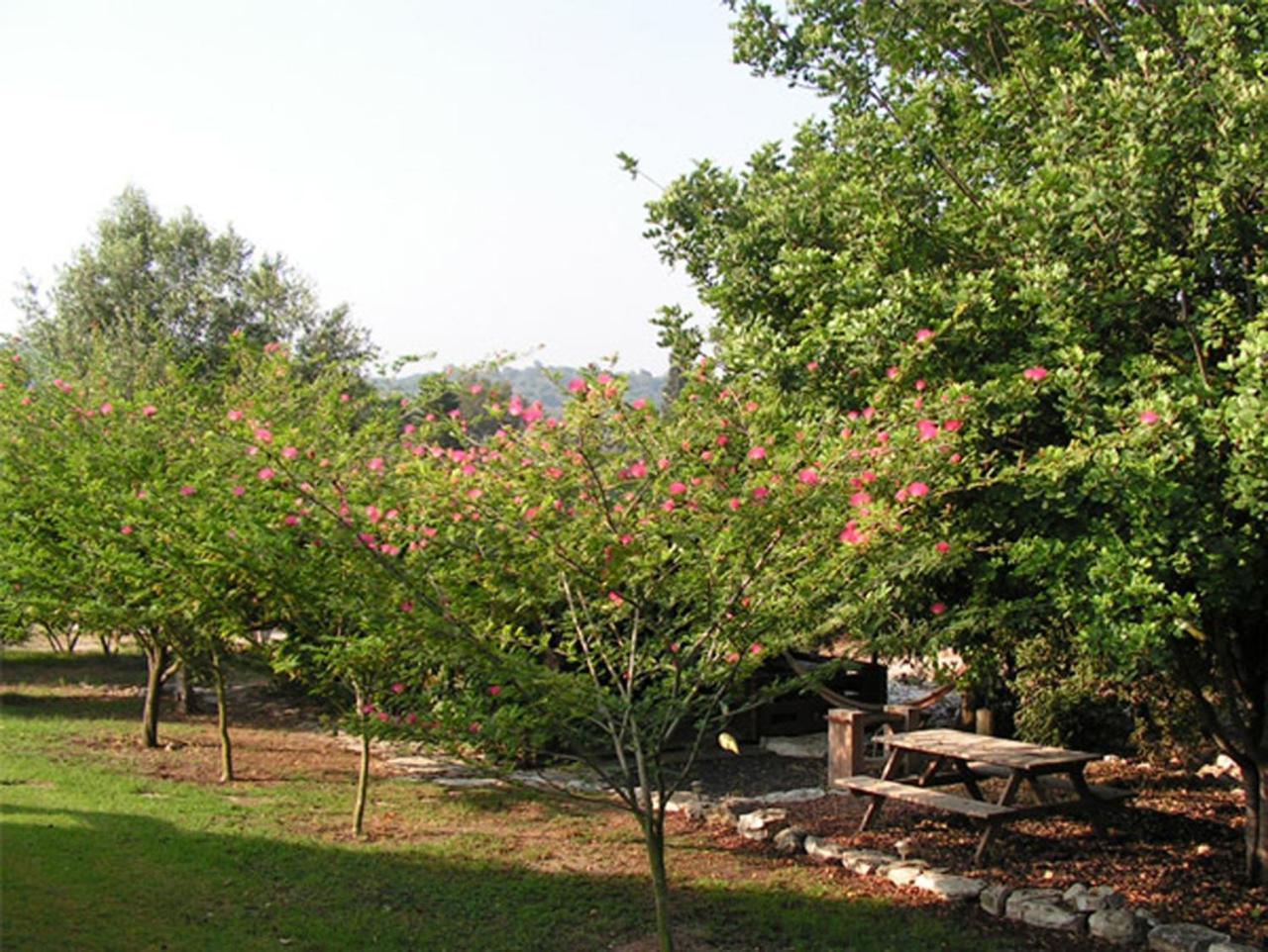 Amikam Meshek 81 משק 81 עמיקם Villa Luaran gambar