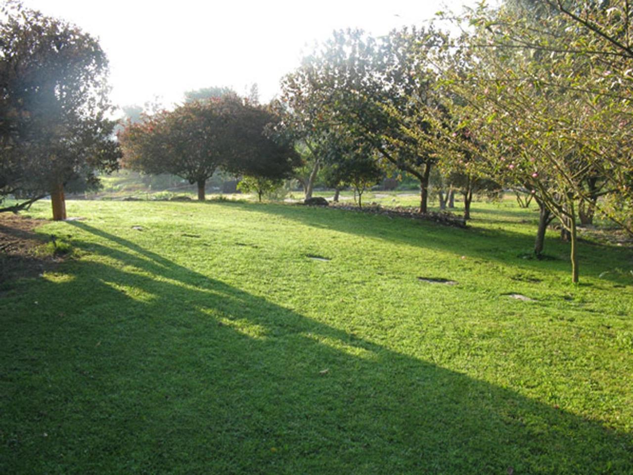 Amikam Meshek 81 משק 81 עמיקם Villa Luaran gambar
